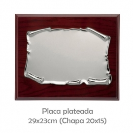 GL-2049-1M-placa plateada 29x23 p-2049-1m