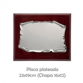 GL-P-2049-2M-placa plateada 23x19 p-2049-2m
